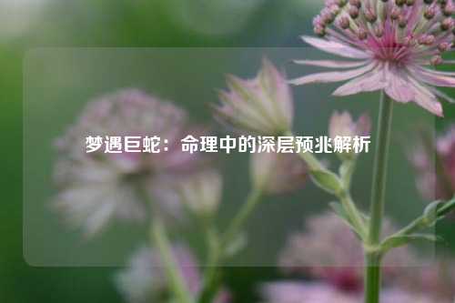梦遇巨蛇：命理中的深层预兆解析