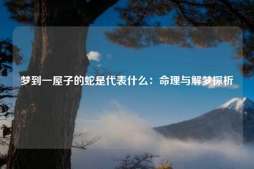 梦到一屋子的蛇是代表什么：命理与解梦探析