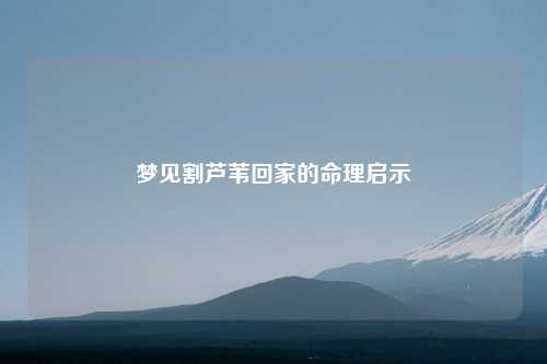 梦见割芦苇回家的命理启示